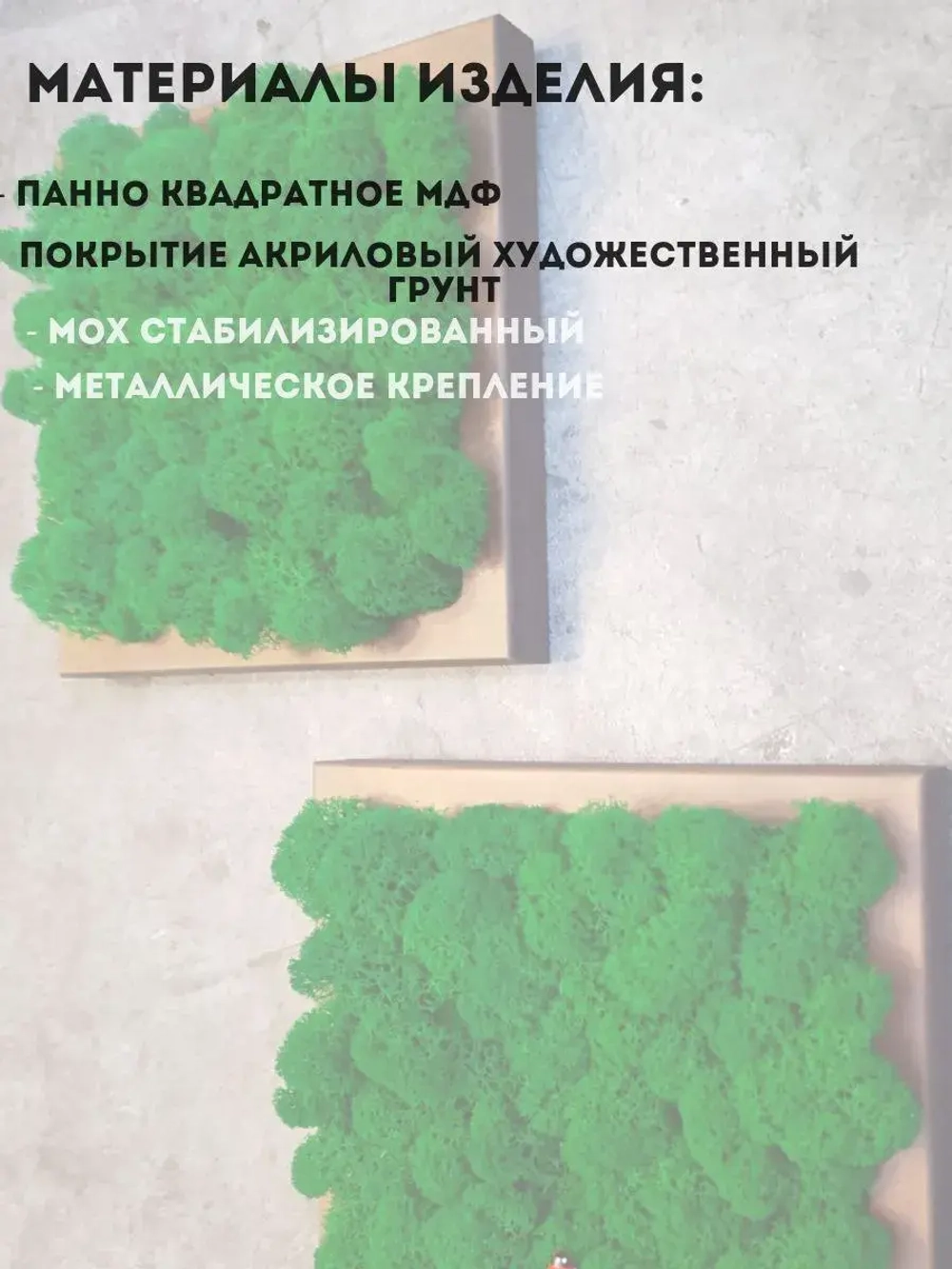 Квадратное панно на стену 20*20 из мха набор 1 шт.