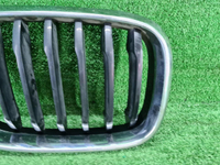 Решетка радиатора правая BMW X3 G01 X4 G02 (17-21)