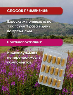 Фитокомплекс Противомастопатийный Полезные травы, 60 капсул