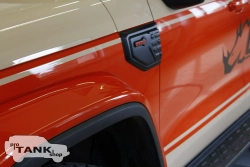 Накладки на расширители арок BRM для TANK 300 2021-2024г. (Чарский Оранж Orange (2Y))