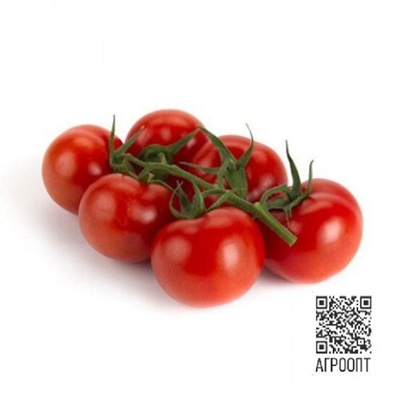 Фуллтом F1 семена томата (Rijk Zwaan / Райк Цваан) продукт – фото 4