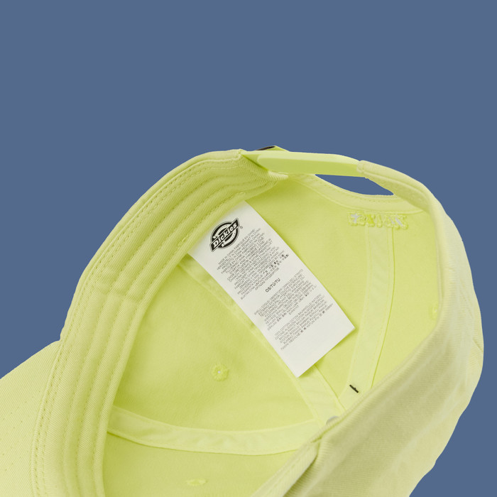 Кепка Dickies Hardwick 6 Panel Logo артикул:DK0A4TKVH141 - купить в магазине Дайс