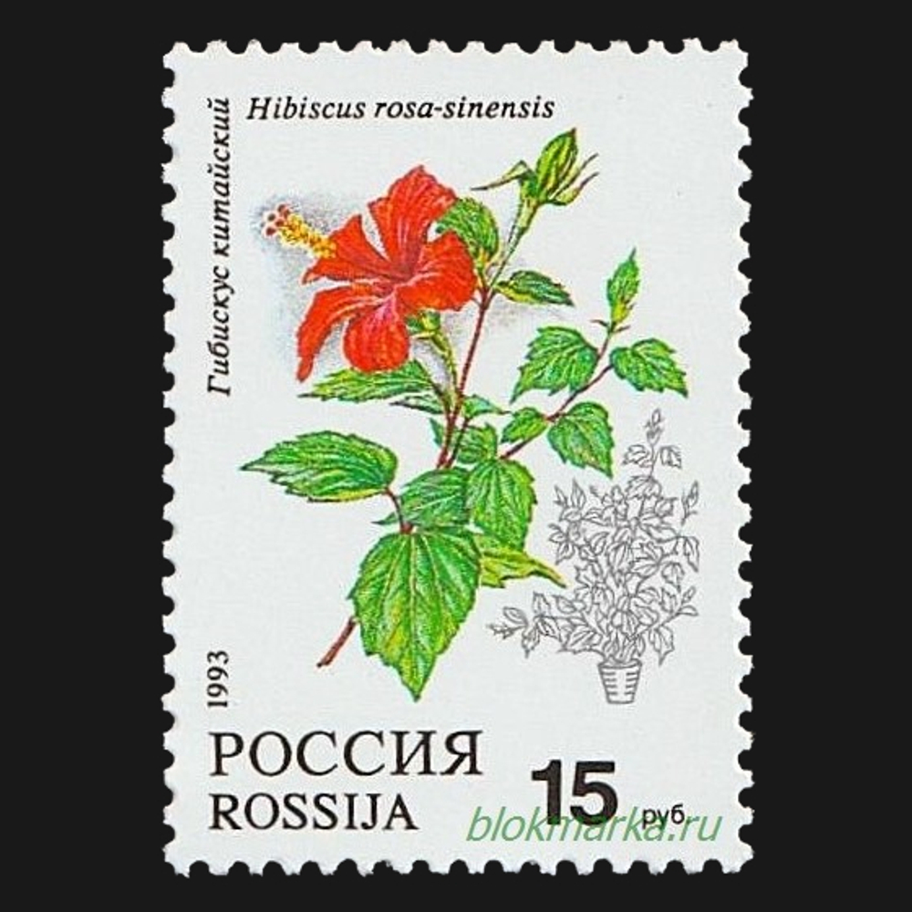 Россия 1993 г № 77-81 Серия Флора Комнатные растения Чистая MNH **