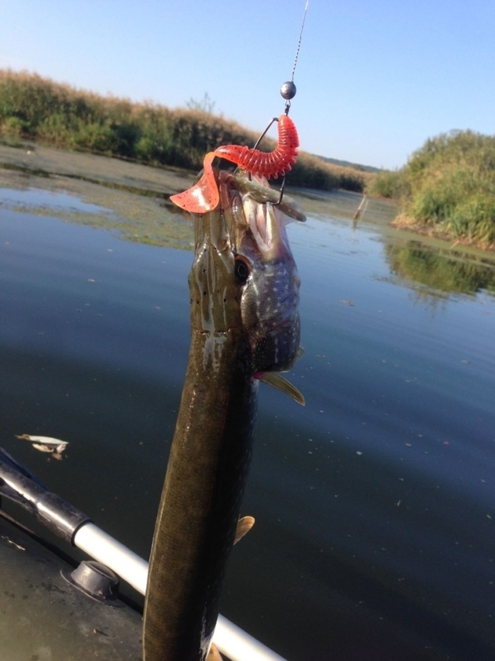 Твистеры съедобные LJ Pro Series Crusher Grub 4.5 in (114 мм), цвет T05, 4 шт