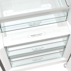 Холодильник Gorenje R619EAXL6