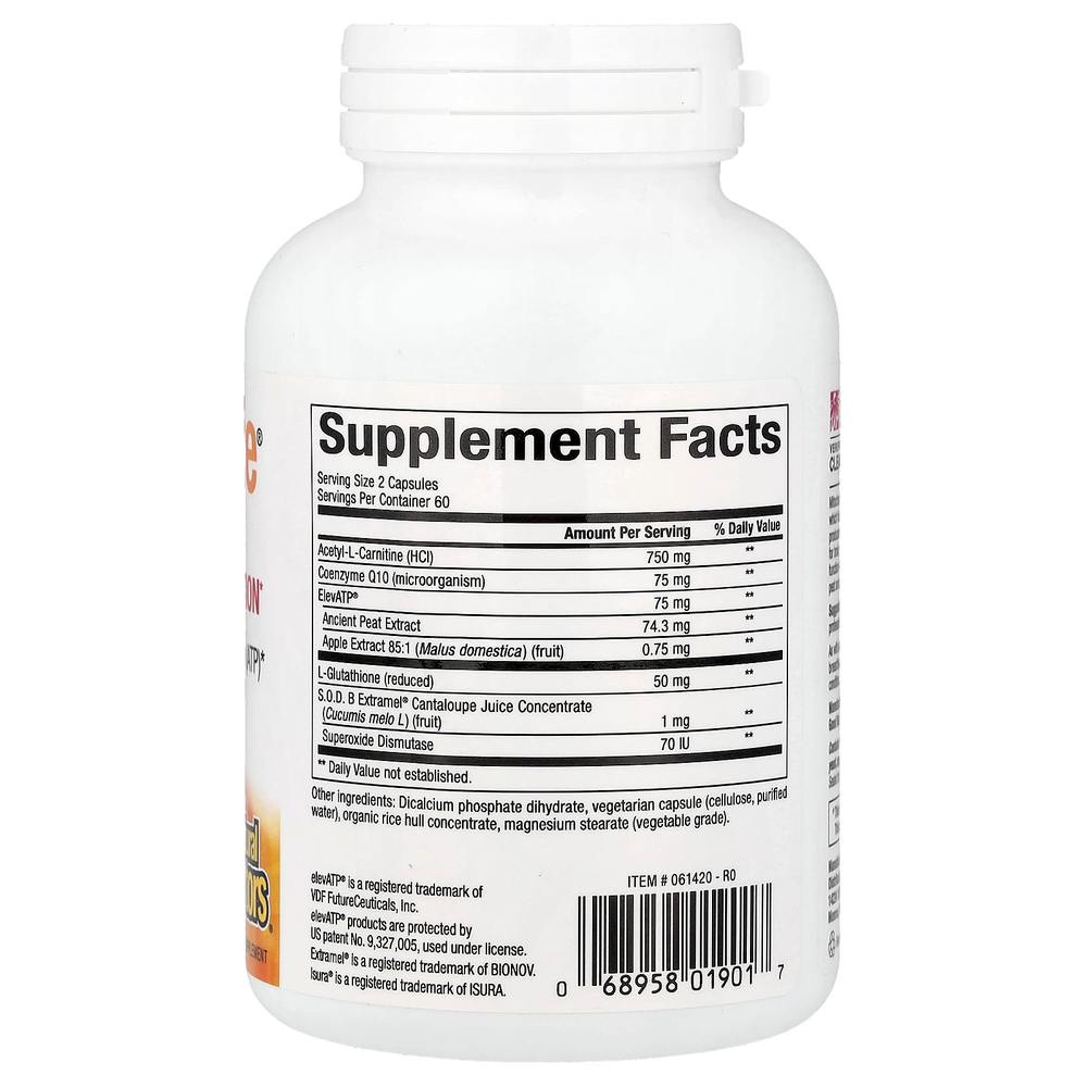 Natural Factors, RegenerLife®, добавка для оптимизации функции митохондрий, 120 вегетарианских капсул