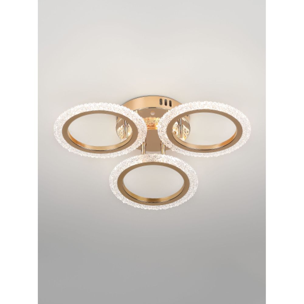 Светильник потолочный светодиодный Rivoli Evlalia 6178-703 LED 42Вт 3000-6000К с пультом | Интерьерные светодиодные светильники