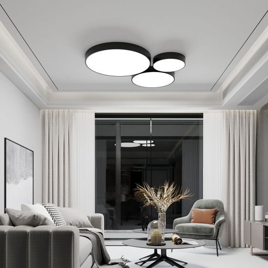 90318/1 / потолочный светильник / черный