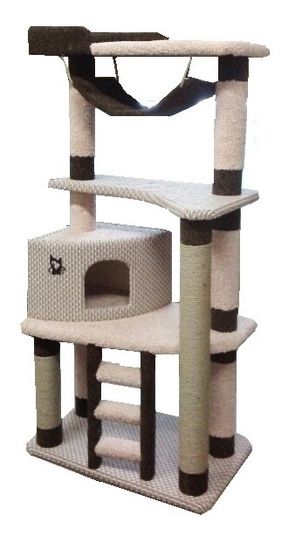 Когтеточка И-88 (мейн-кун)