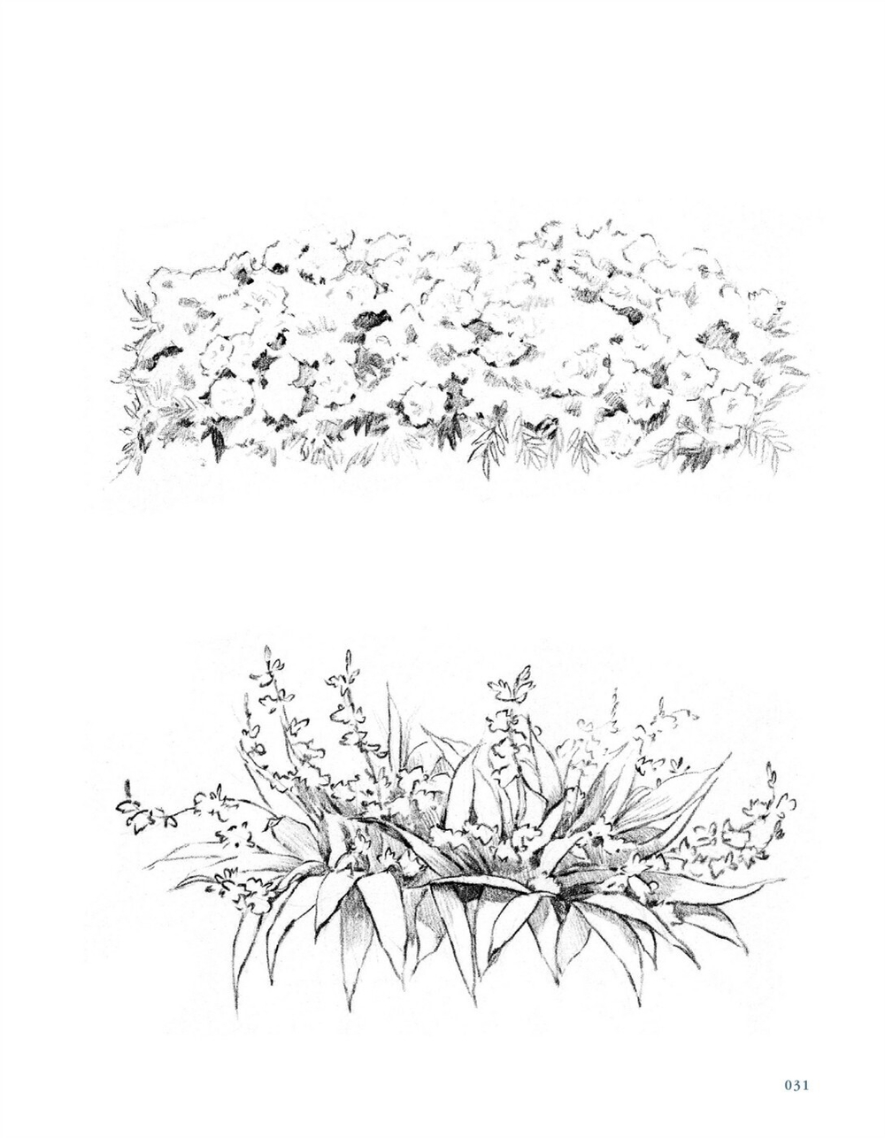 Colored pencil landscape painting with four seasons. Coloring Book