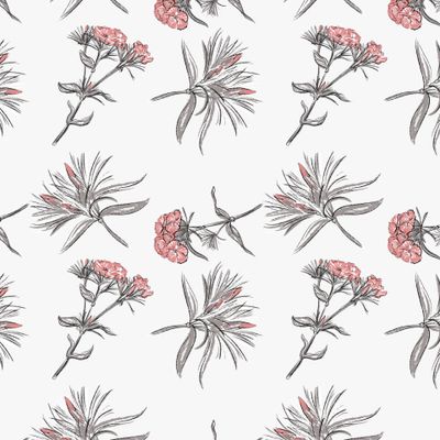 Гвоздика кустовая