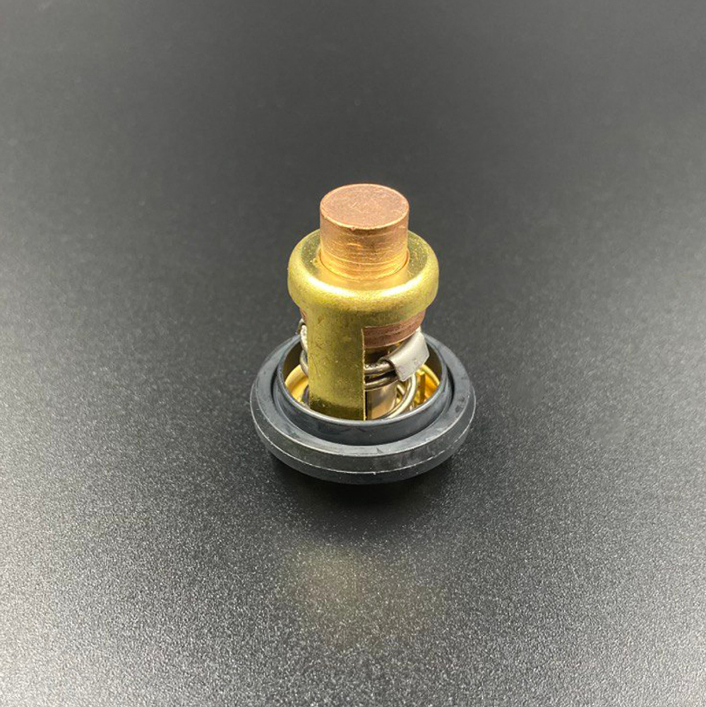 Термостат Parsun (Mercury 825212001) (PREMARINE)