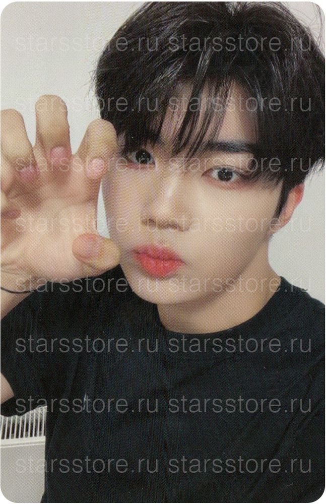 Фотокарта Gunwook ZEROBASEONE - Melting Point (Apple Music)