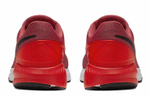 Кроссовки Nike Zoom Structure 22