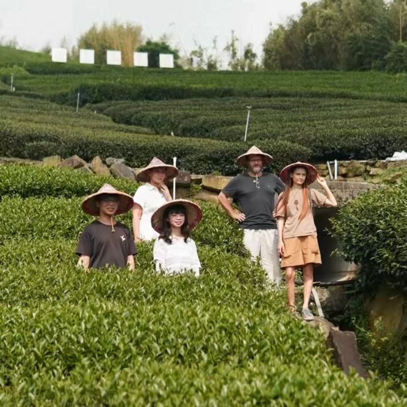 Алишань Чин Синь ЧжунХуо