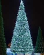 Уличная гирлянда С режимами: Теплый свет "Северное Сияние" (24В) на елку от 4 до 30 м