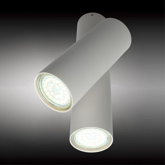 Светильник настенно-потолочный OML-20311-02