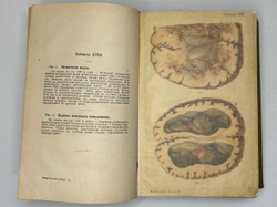 Платен М. Новый способ лечения. Лечение целебными силами природы. — Берлин: Изд. Просвещение, 1901