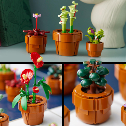 LEGO Botanicals - Маленькие растения 10329