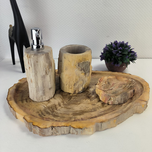 Набор из окаменелого дерева 4 предм Fossil Set NF-63062 поднос 29см*43см