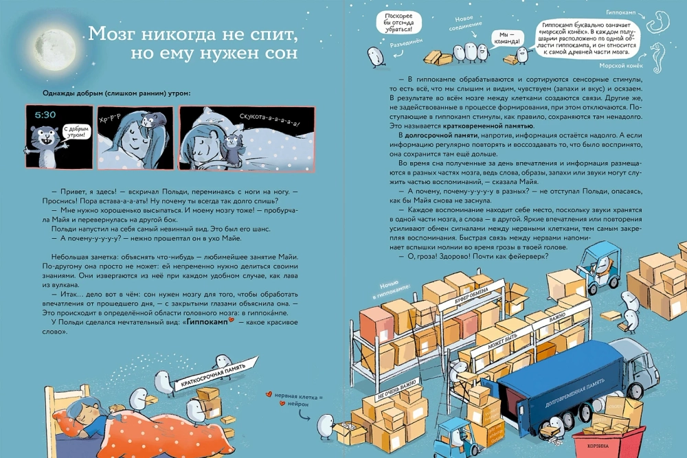 Что такое человек? Записки любознательного хомяка