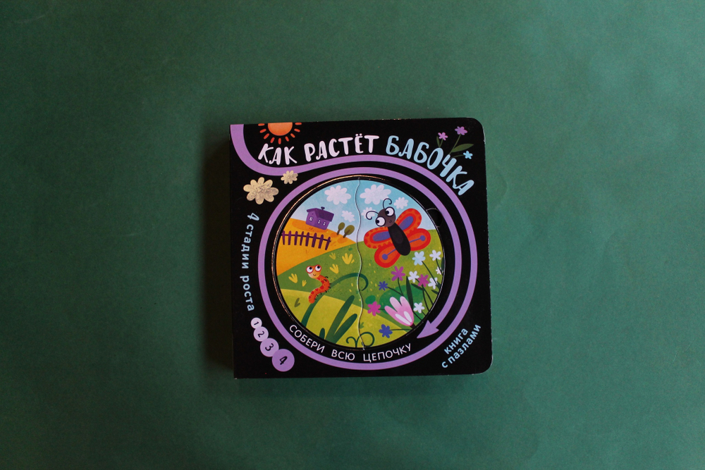 Собери цепочку. Как растет бабочка