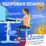 Комплект Anatomica Amadeo парта + стул + надстройка + выдвижной