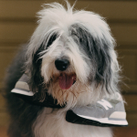 Кроссовки New Balance NB 990 V1, M990TA1