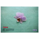 Папка-конверт с кнопкой BRAUBERG "FLOWER" А4 160 мкм до 100 листов цветная печать (12 штук в упаковке)