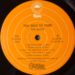 The Boyzz ‎– Too Wild To Tame (Япония 1978г.)