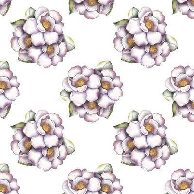 Магнолии на белом