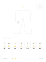 Штаны MANTO LABEL 25 серые