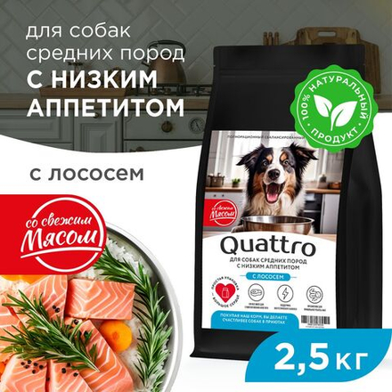 Корм сухой для взрослых собак средних пород, премиум полнорационный комплекс, низкий аппетит, с лососем, 2,5 кг, QUATTRO