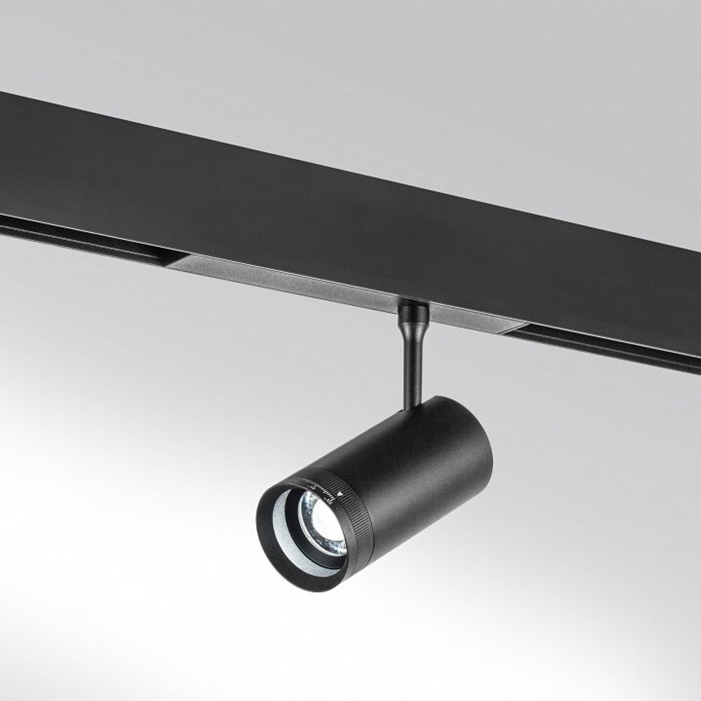 Светильник на штанге Lightstar Teta 205007