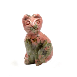 Кошка унакит асс.