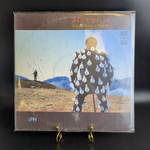 2 LP Pink Floyd - Delicate Sound Of Thunder , Repress, USSR, 1988 зарубежный рок. 2 Виниловые пластинки