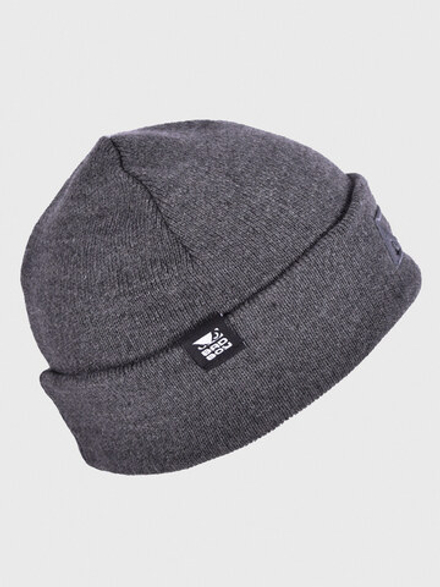 Шапка Bad Boy Logo 3D серый