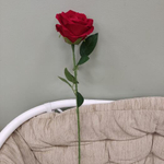 Красная бархатная роза