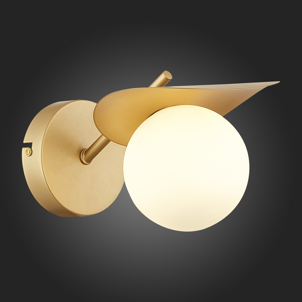 Светильник настенный Evoluce Bolzano SLE220501-01