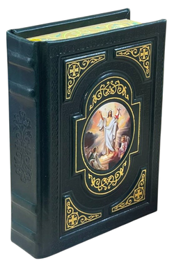 photo_2026-01-15_11-28-32-Photoroom