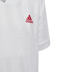 Детская теннисная футболка Adidas Boys Freelift - white/scarlet