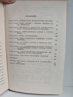 Салтыков-Щедрин (ЖЗЛ)