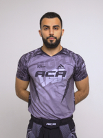 Футболка Iamfighter АСА GREY