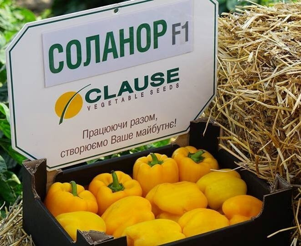 Перец Соланор F1 (50шт) Витагрин Профи