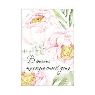 Бирка с отверстием 