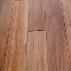 Паркет лингуа