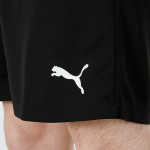 Шорты PUMA Logo, 704942-04