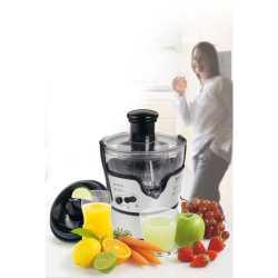Соковыжималка Elea Duo Moulinex JU385H30