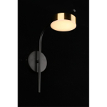 Настенный светодиодный светильник Aployt Delayn APL.042.01.07