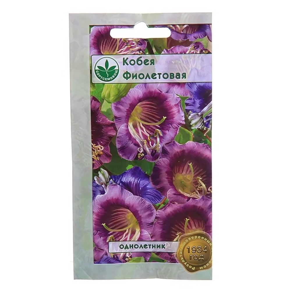 Семена Кобея фиолетовая 5шт.